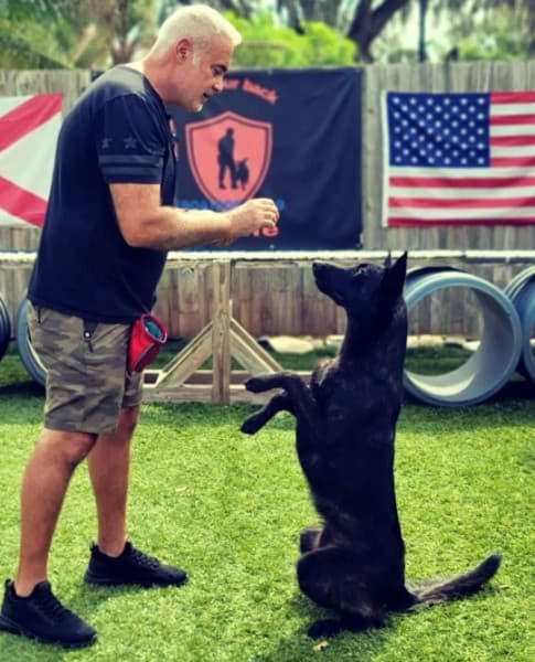 Trainer running an obedience stand drill with a dog in front of the Got Your Back K9 Life banner