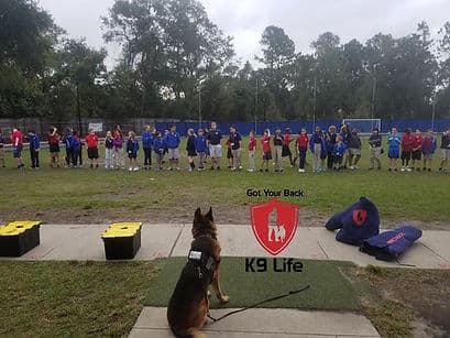 Certified trainer demonstrating obedience commands for a group of students