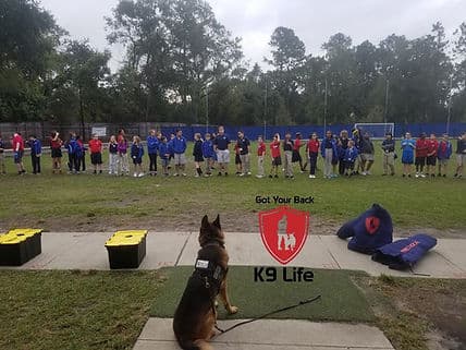 Trainer instruction session with a K9 demonstrating focus in front of a group