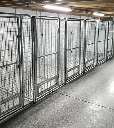 Newly renovated indoor boarding kennels